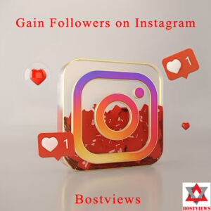 Gain Followers on Instagram